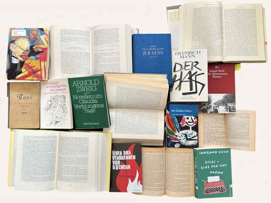 Das Foto zeigt eine Collage aus verschiedenen Büchern, welche teilweise aufgeschlagen sind.