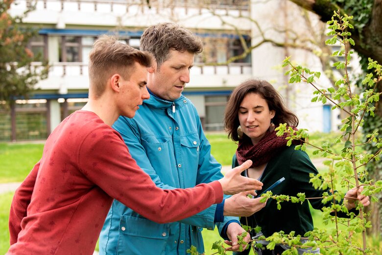 Drei Personen betrachten Äste an einem Baum