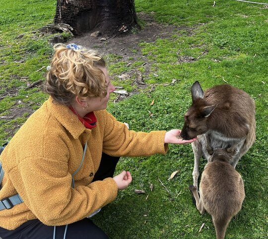Zu sehen ist Studentin Angela Maidhof beim Füttern eines Kängurus in Australien.