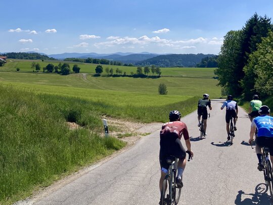 5 Personen sind von hinten auf ihren Rädern auf einem Feldweg zu sehen