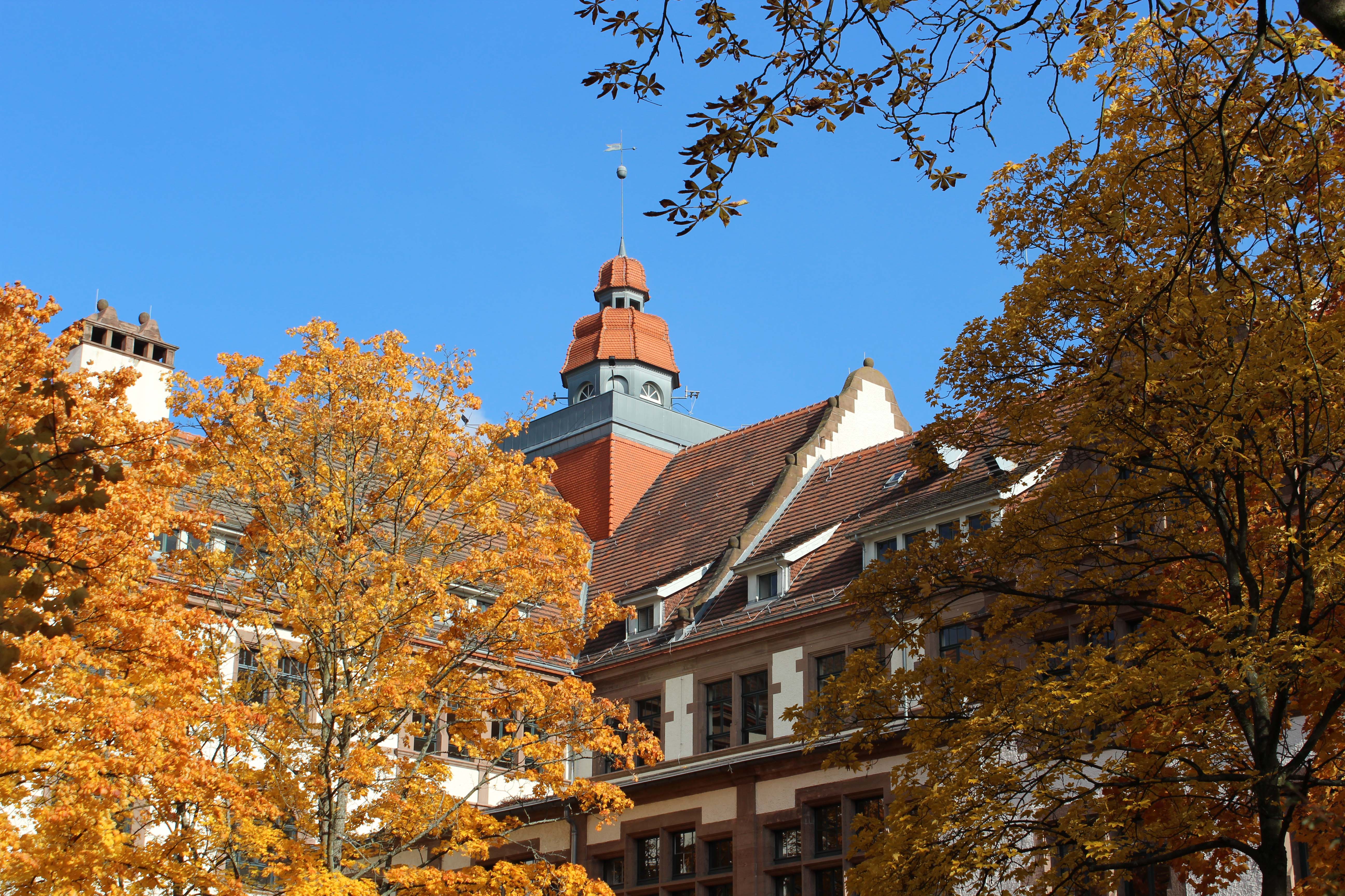 Hochschulpolitik Padagogische Hochschule Heidelberg