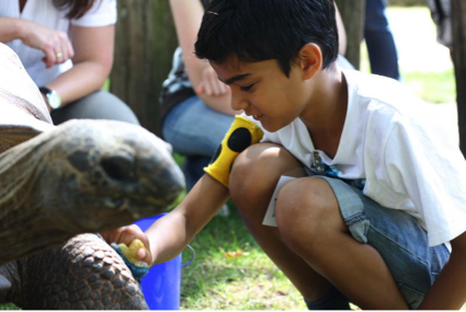 Jungem mit Blindenarmbinde und einer Riesenschildkröte