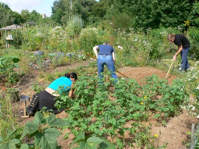 Arbeit im Garten