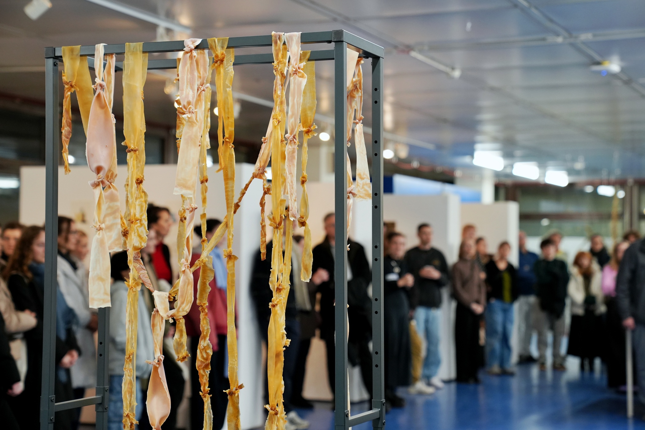 lisa-hangel-mit-kunst-f-rderpreis-ausgezeichnet-p-dagogische